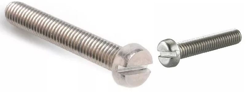  Cheese Head Screw Manufacturer in India 