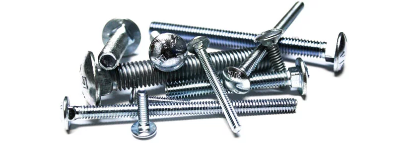  Carriage Bolts Manufacturer in India 